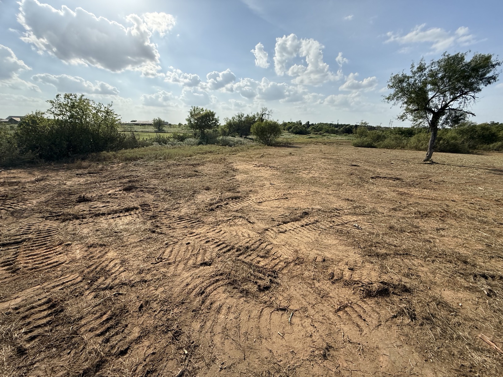 Freshly cleared tract on the Elgin side, brush mulched in place and machine tracks still in the dirt