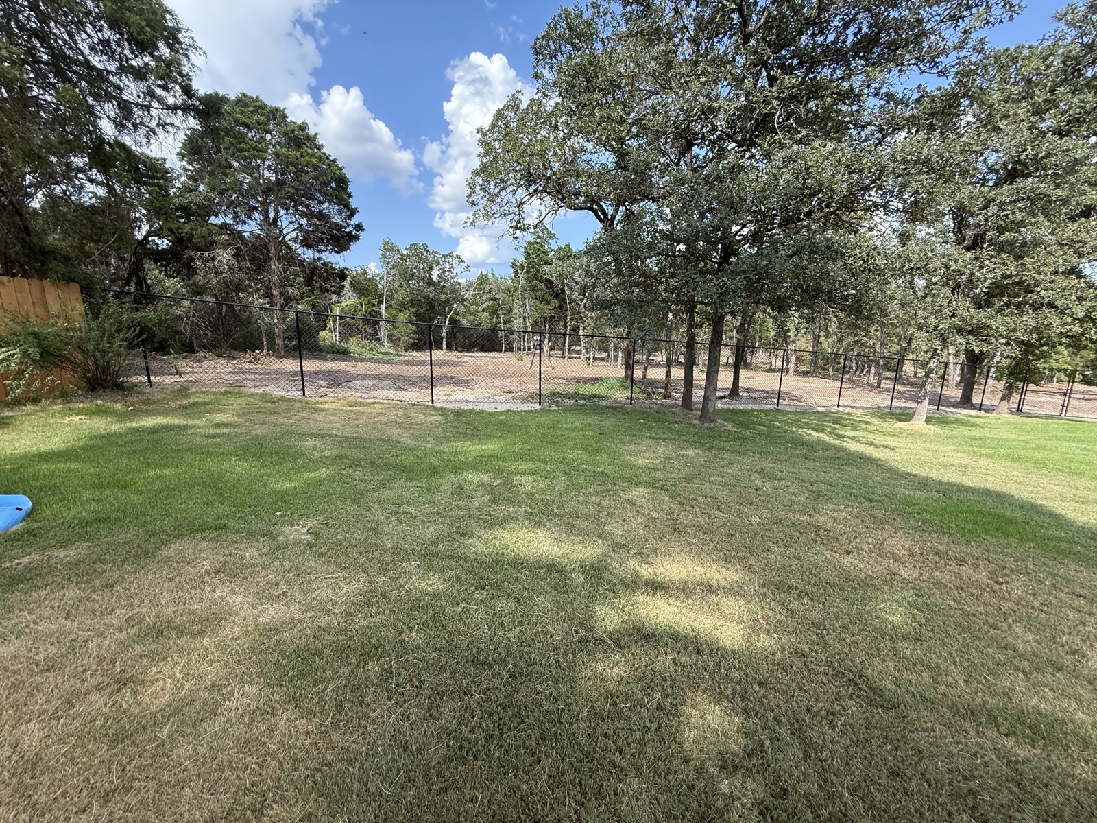 Cleared strip along a chain link fence line, oaks kept and brush gone