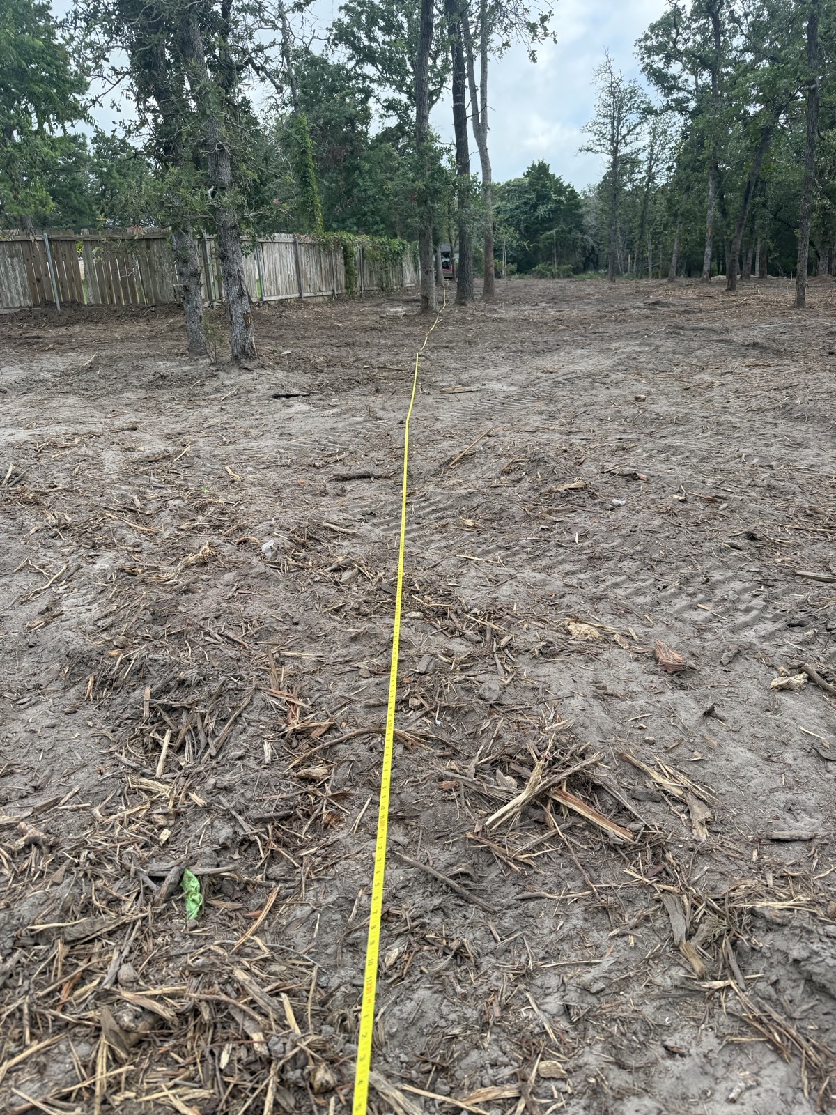 Same lot mulched clean, tape pulled to check the line, trees kept